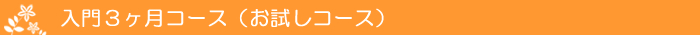 入門3ヶ月コース(お試しコース)